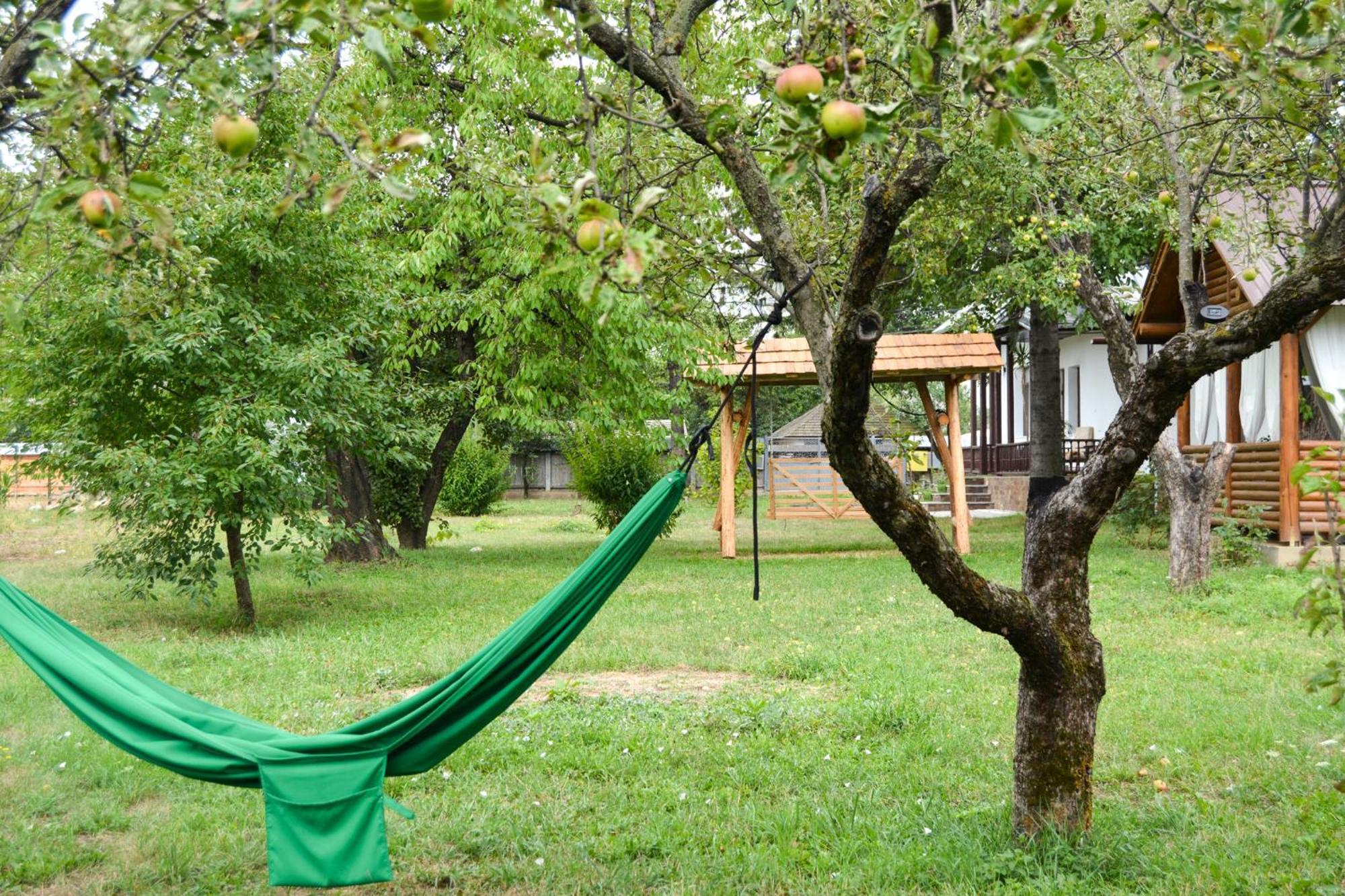 Casa Humulesti, Fii Vecinul Lui Ion Creanga Villa Targu Neamt Ngoại thất bức ảnh